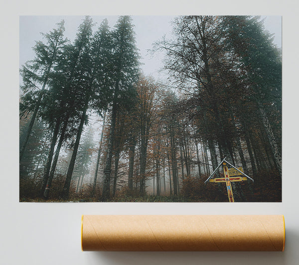 Green Foggy Forest Path