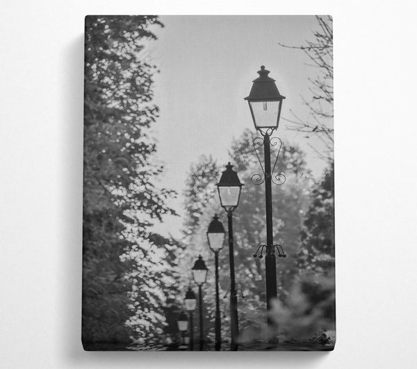 Black And White Street Lights