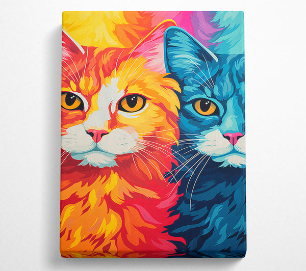 Orange And Blue Cat