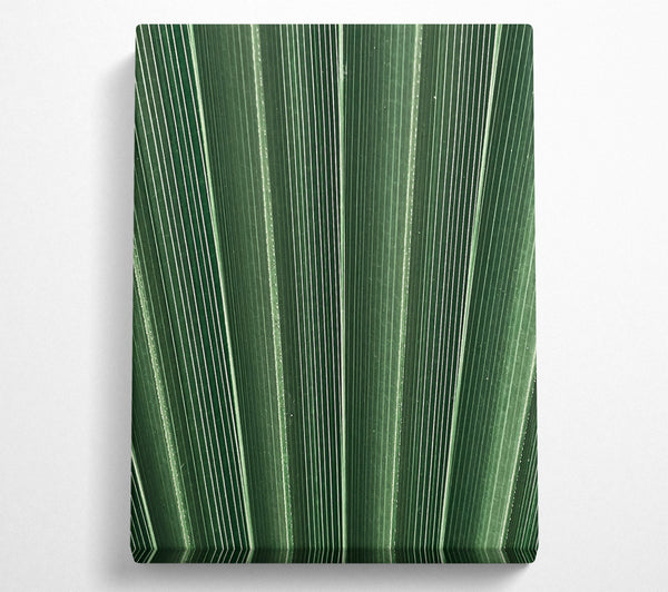 Emerald Palm Lines