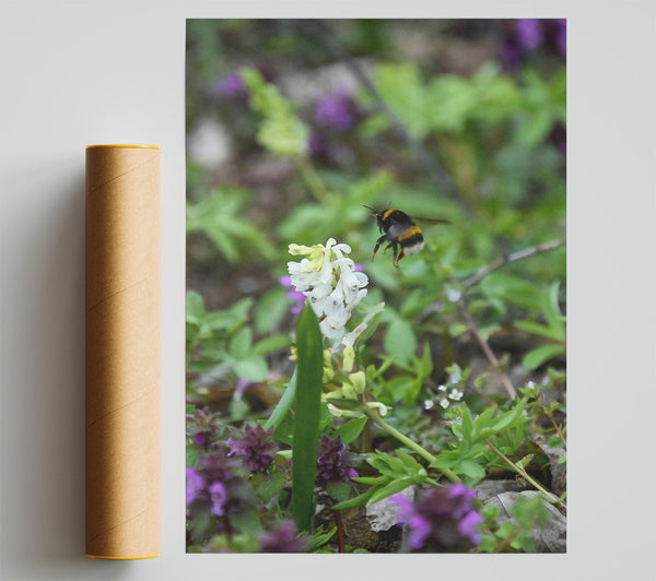 Green Bumble & White Bloom