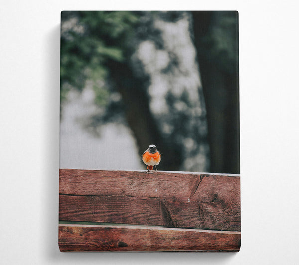 Red Bird On Wood