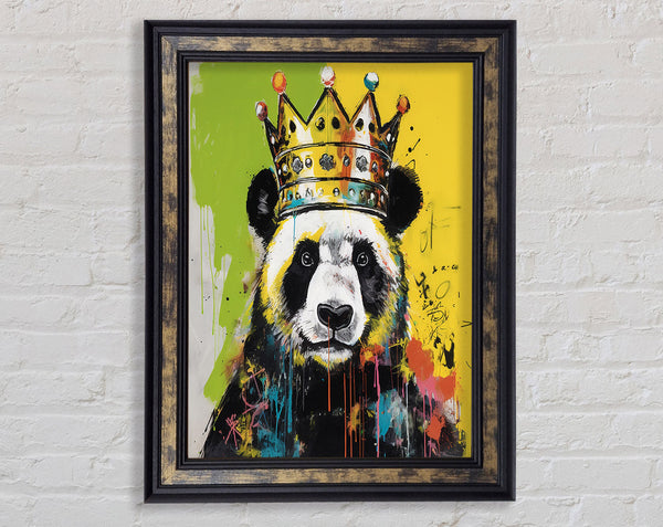 Panda King Urban