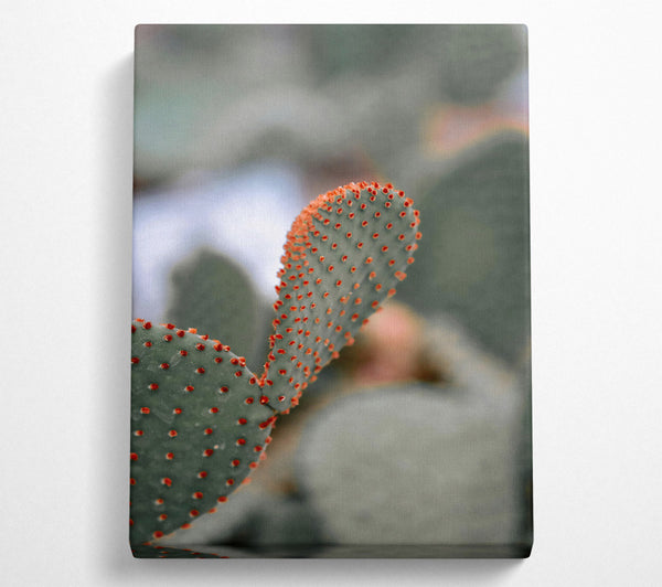 Orange Prickly Pear