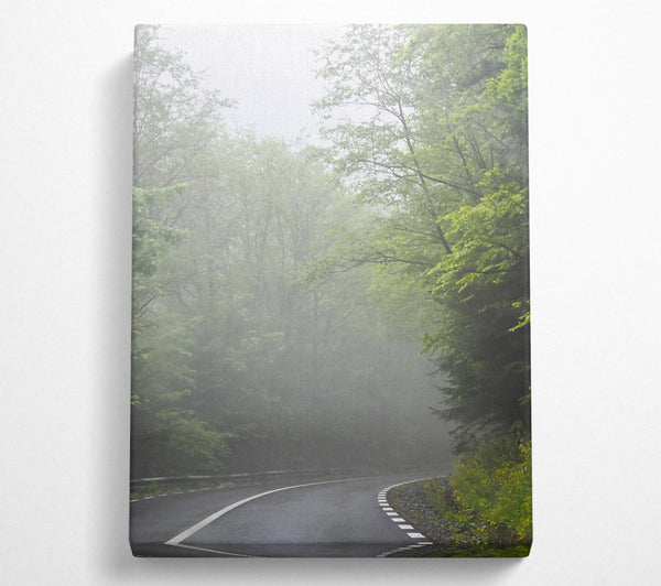 Green Foggy Road