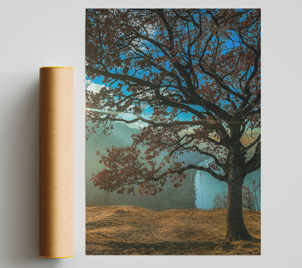 Blue Sky Silhouette Tree