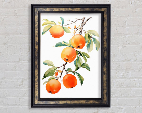 Persimmon Tree Watercolour