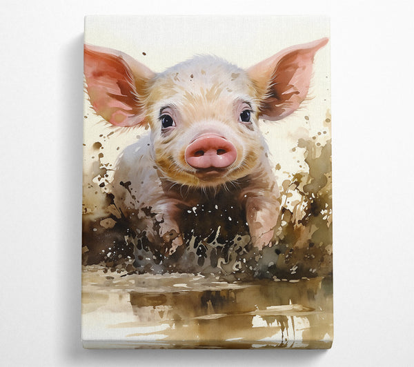 Pig In The Mud