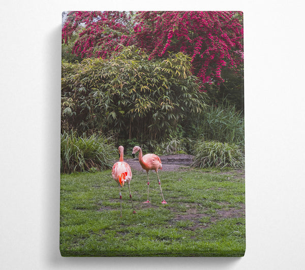 Pink Flamingo Sojourn