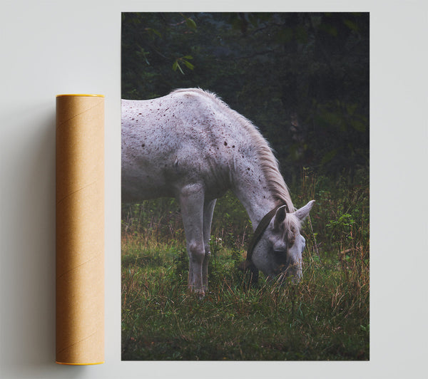 White Horse Grazing Green