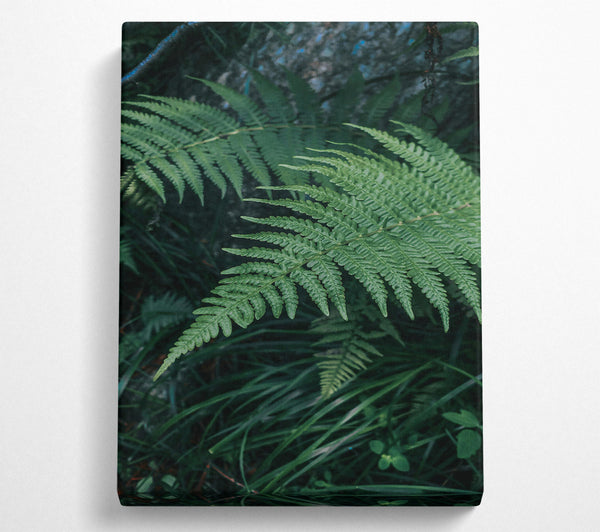 Emerald Forest Fronds