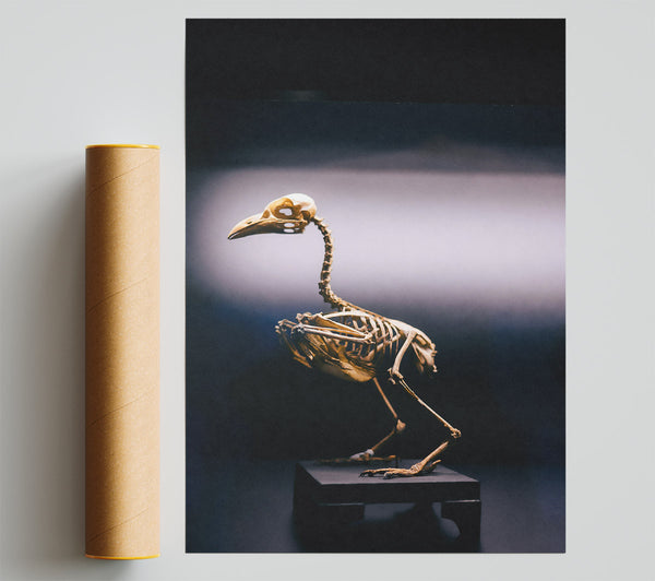 Golden Bird Skeleton