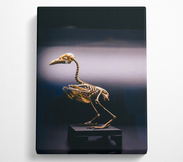 Golden Bird Skeleton