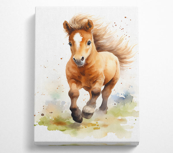 Pony Watercolour