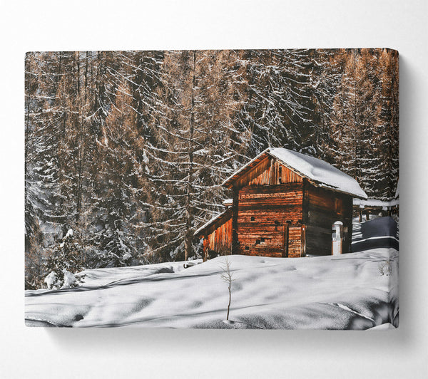 Brown Cabin In The Snow