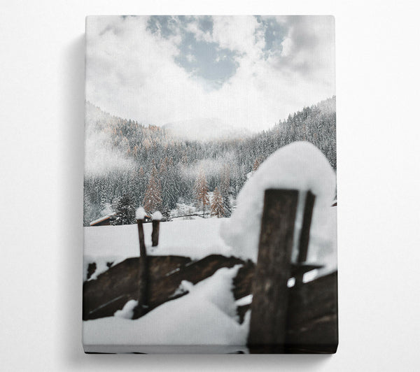 White Winter Woodscape