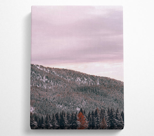 Pink Sky Forest