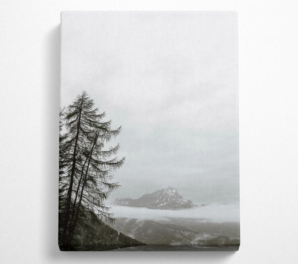 Silver Mountain Mist