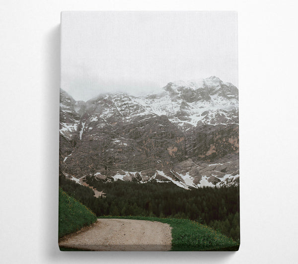 Grey Mountain Path