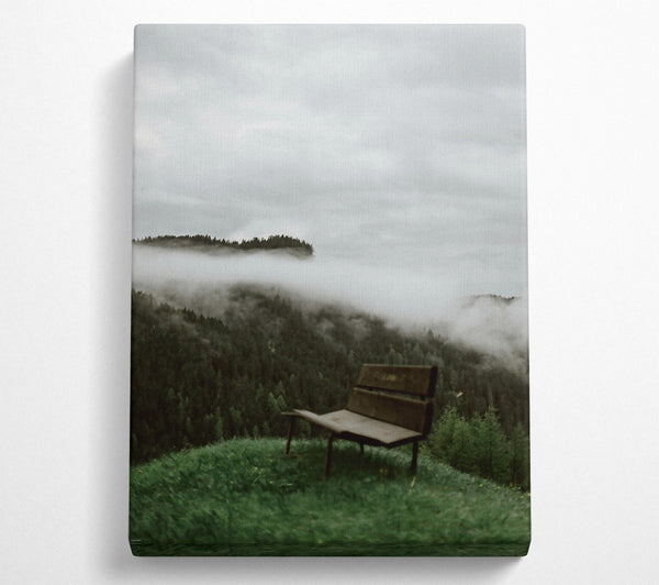 Green Foggy Bench