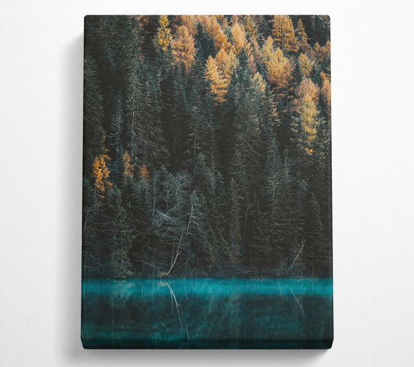 Teal Forest Reflection