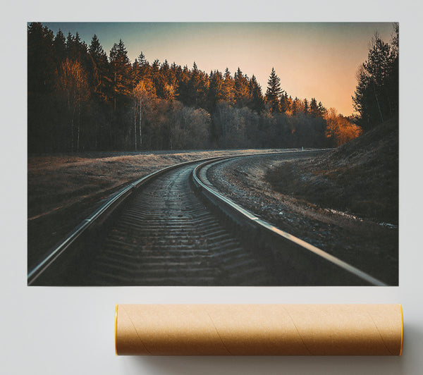 Golden Forest Tracks