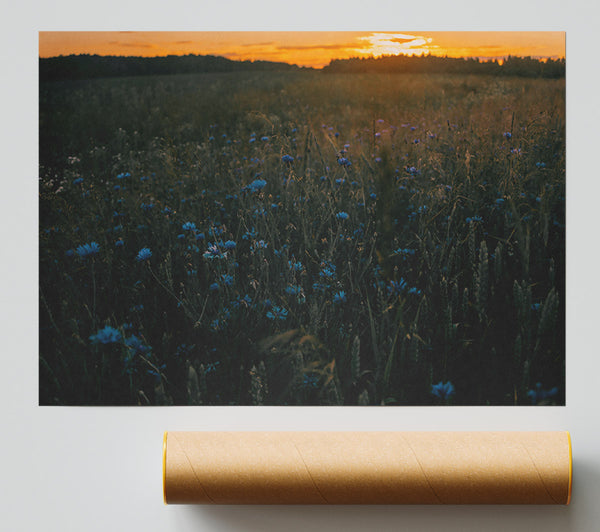 Blue Flowers At Dusk