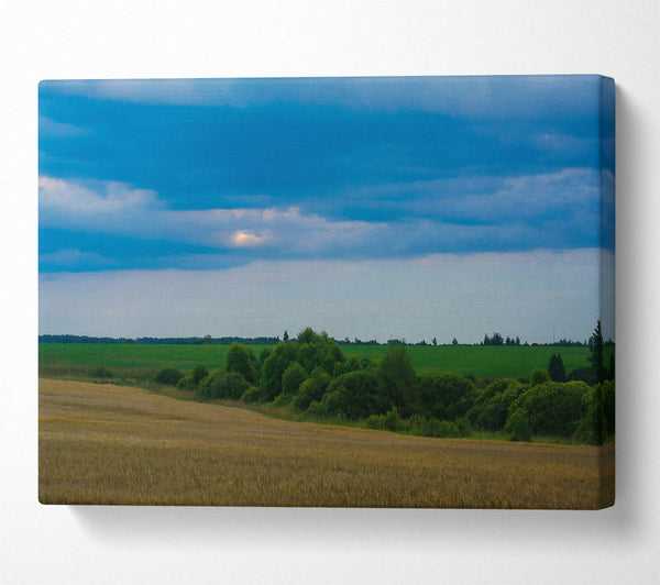 Blue Sky Over Field