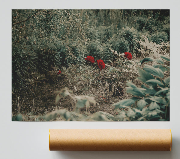 Red Blooms In Green