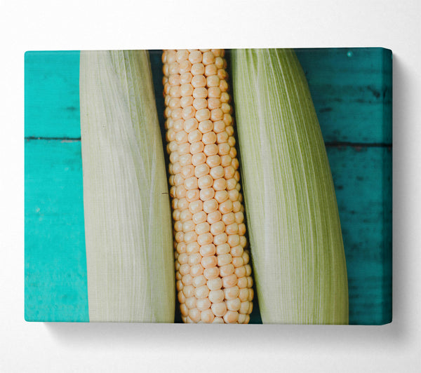 Golden Corn On Teal