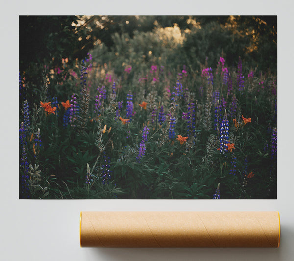 Blue Wildflower Field