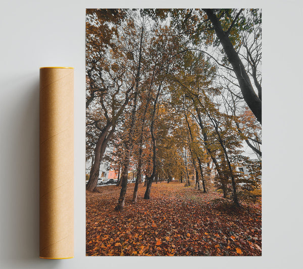 Golden Canopy Path