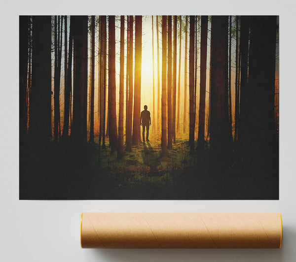 Golden Forest Silhouette