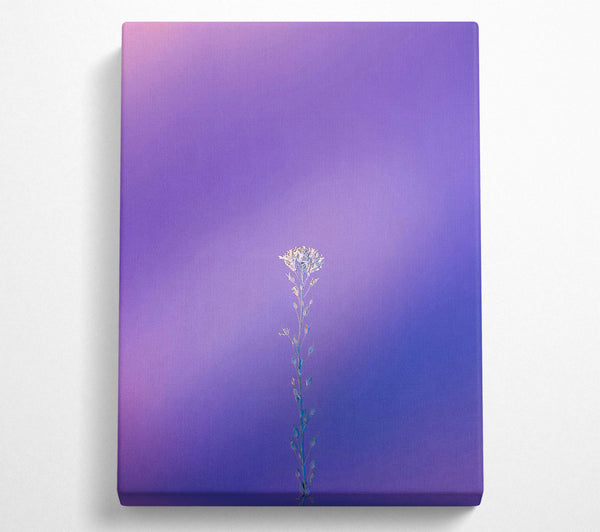 Purple Bloom Alone