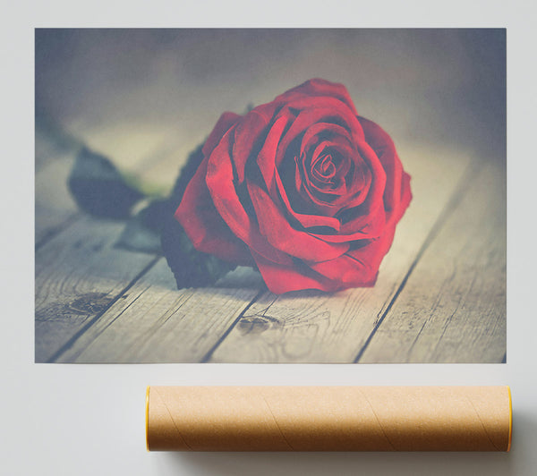 Crimson Rose On Wood