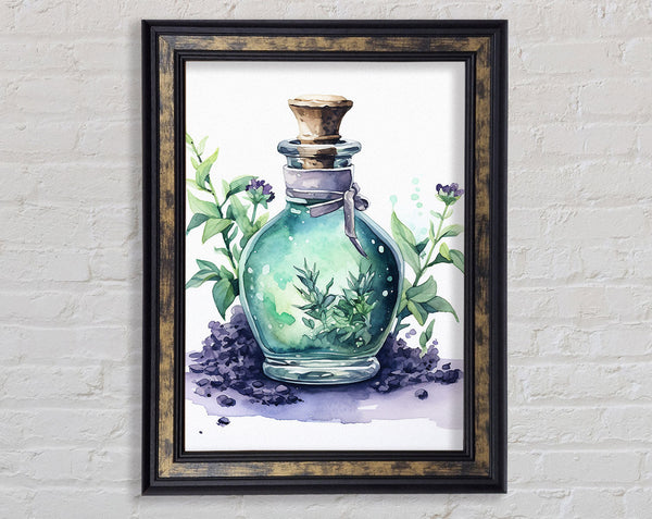 Sage Potion Watercolour