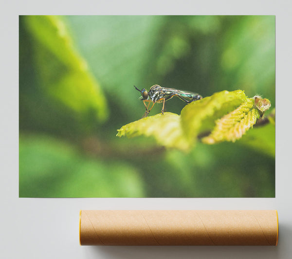 Green Leaf Stalker