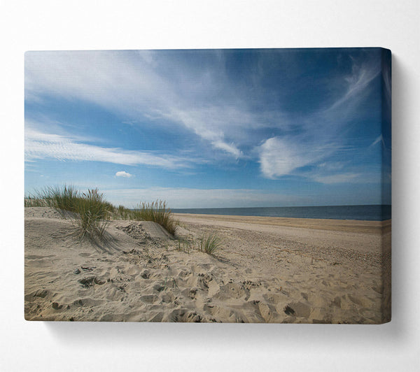 Blue Sky Beach Dunes