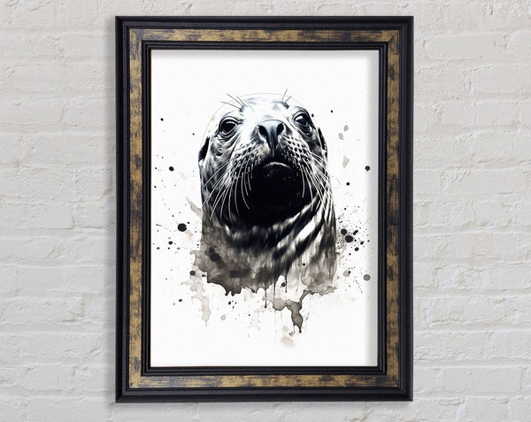 Seal Watercolour