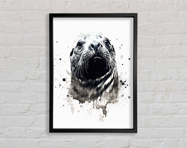 Seal Watercolour