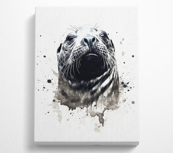 Seal Watercolour