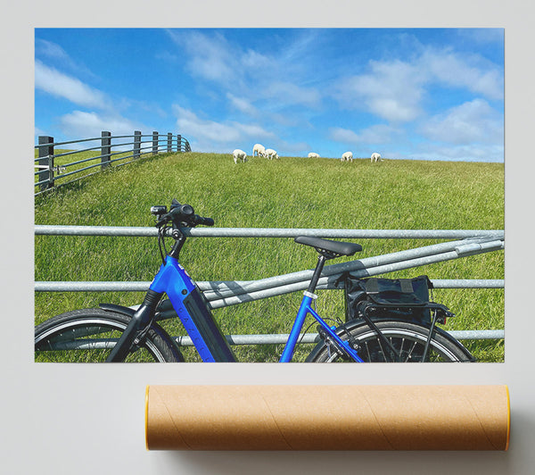 Blue Bike And Sheep