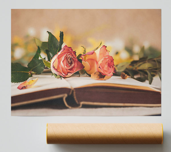 Pale Pink Roses On Book