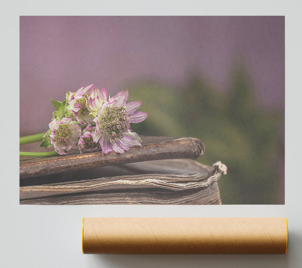 Lavender Bloom On Books