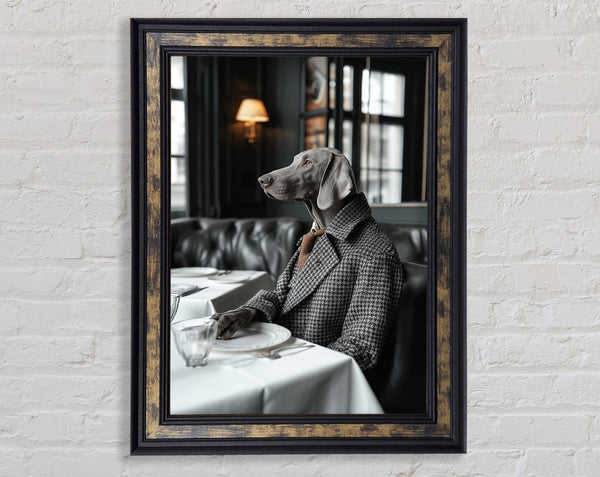 Silver Labrador Ready For Dinner