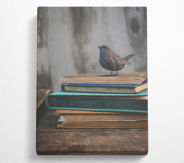 Teal Bird On Books