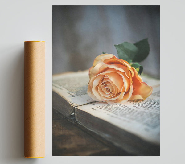 Peach Rose On Book