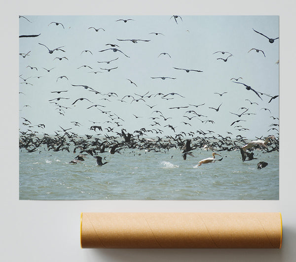 Blue Seabird Swarm