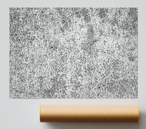 White Crackled Canvas