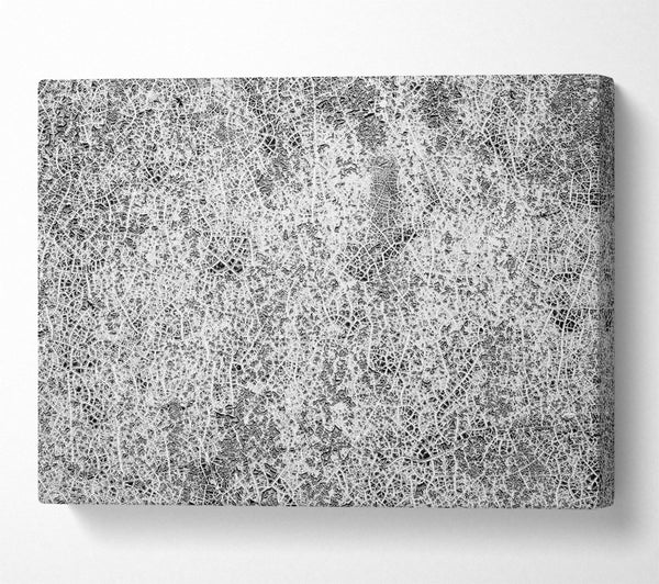 White Crackled Canvas